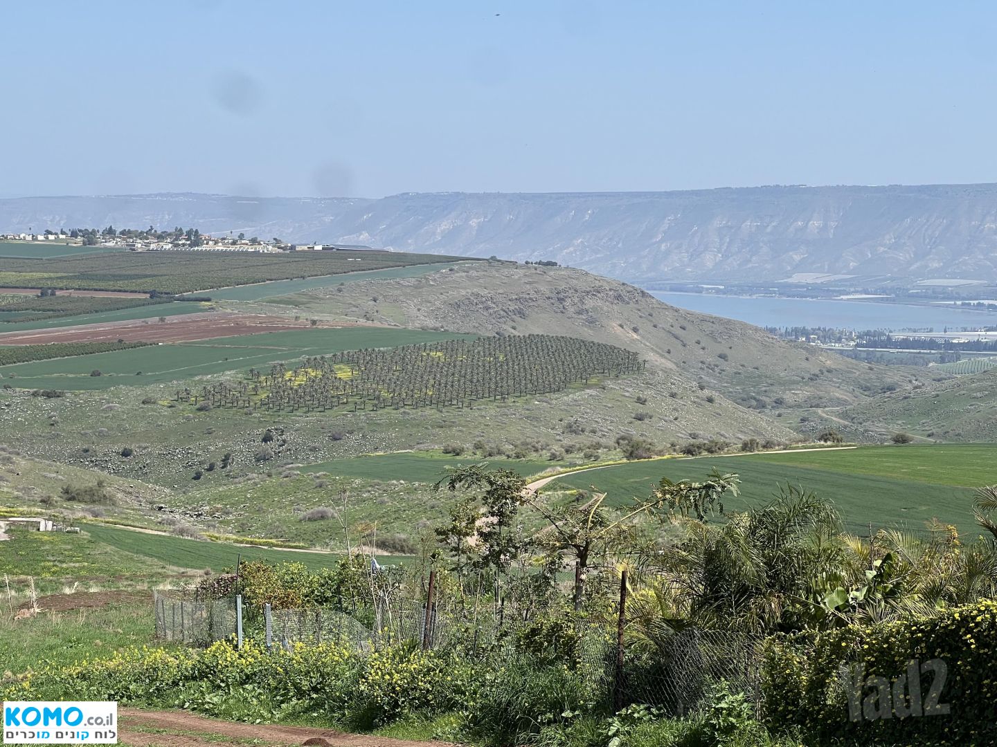 תמונה למודעה