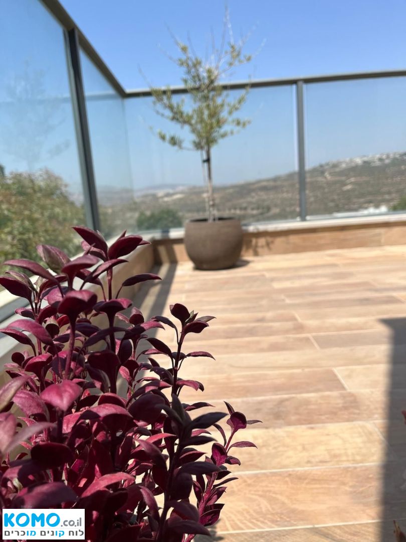 תמונה למודעה