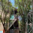 תמונה ראשית