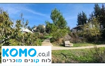 תמונה למודעה