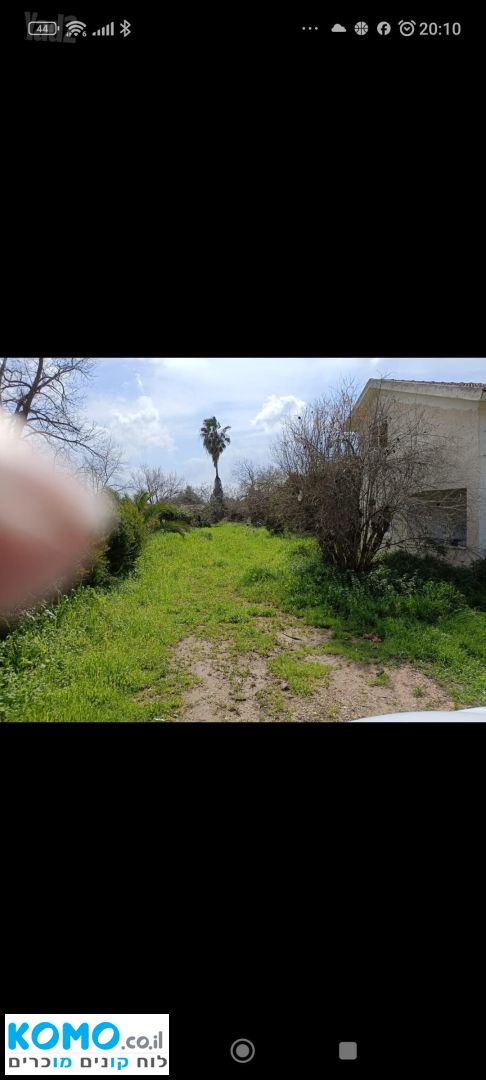 תמונה למודעה