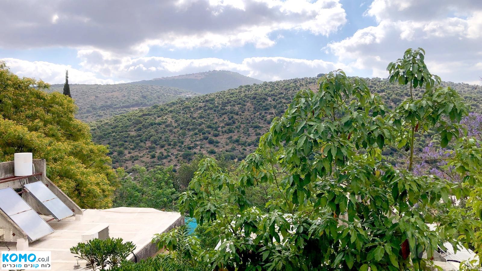 תמונה למודעה