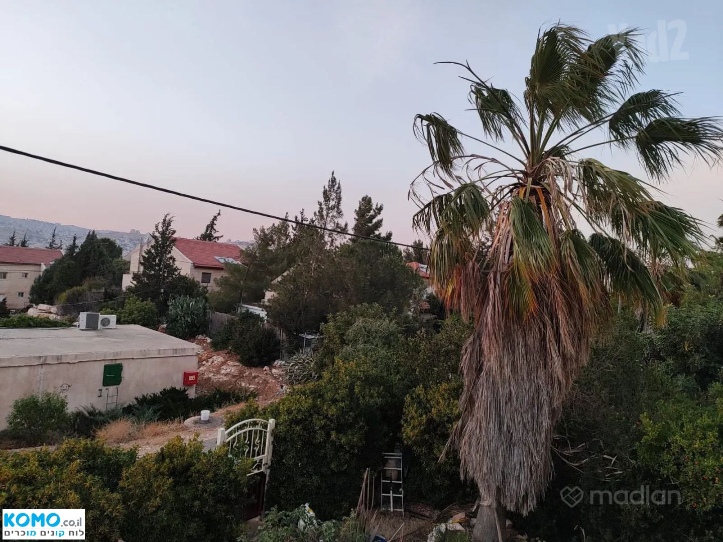 תמונה למודעה