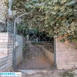 תמונה ראשית