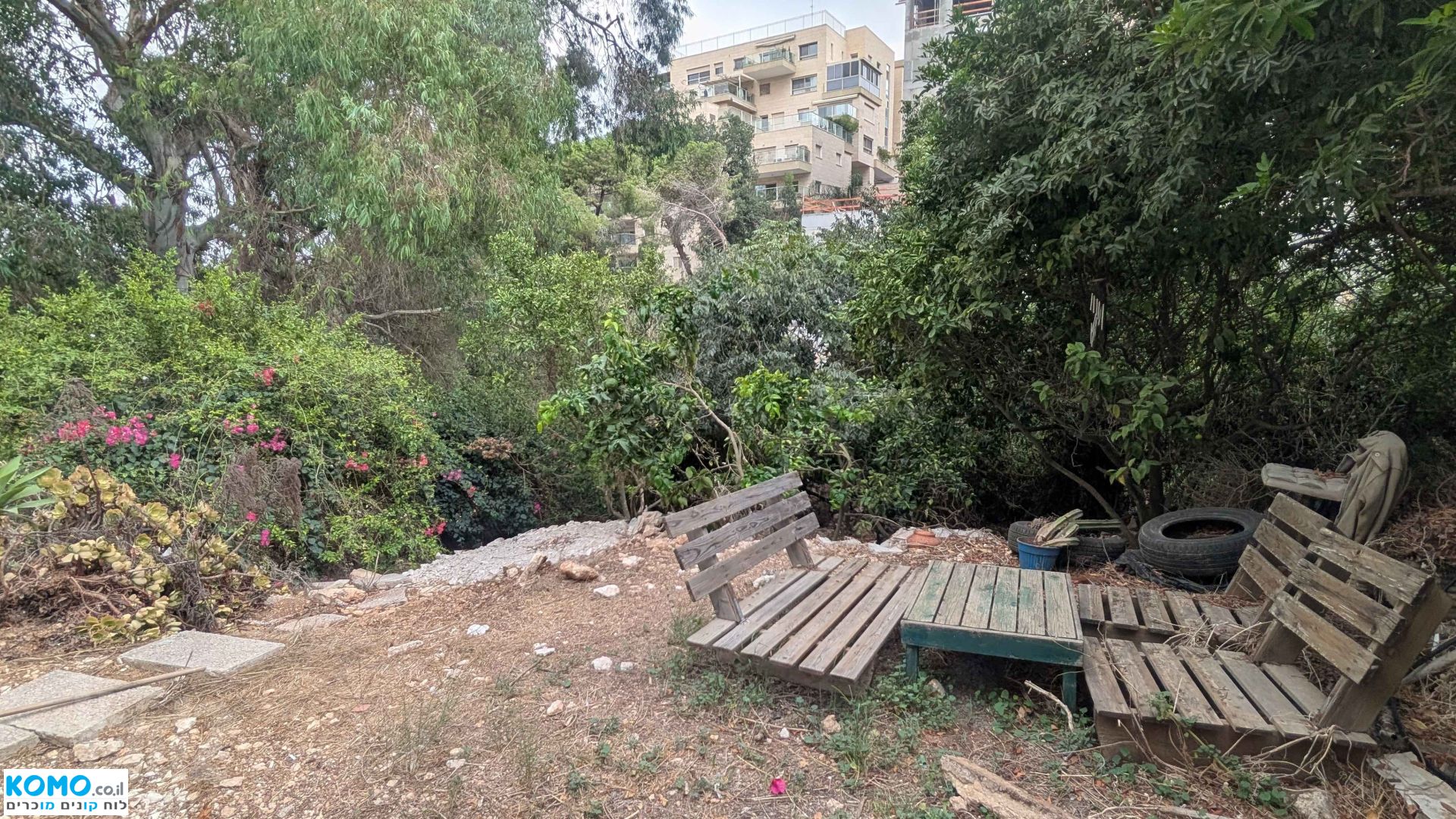 תמונה למודעה