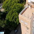 תמונה ראשית
