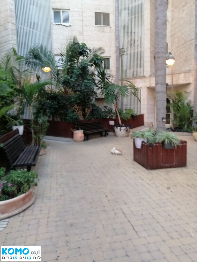 תמונה למודעה
