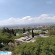 תמונה ראשית