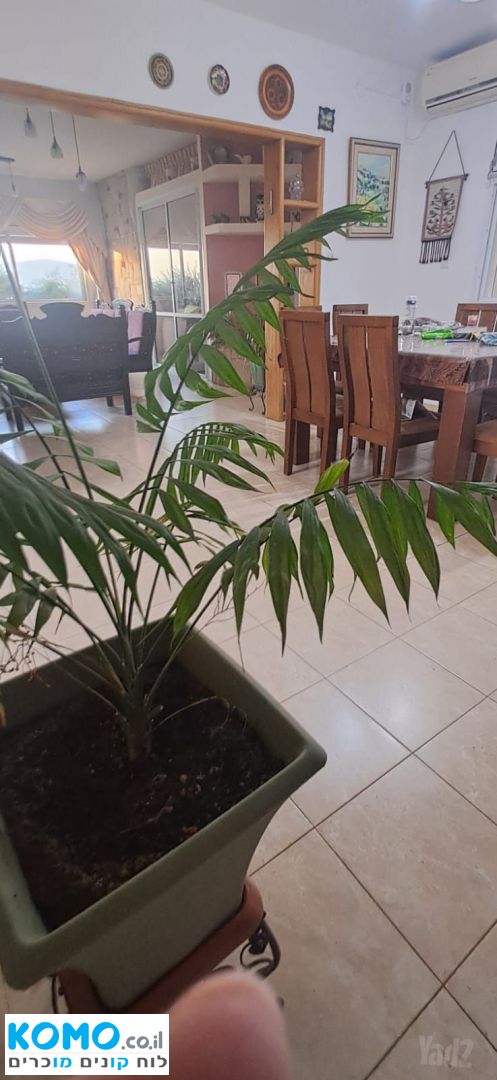 תמונה למודעה