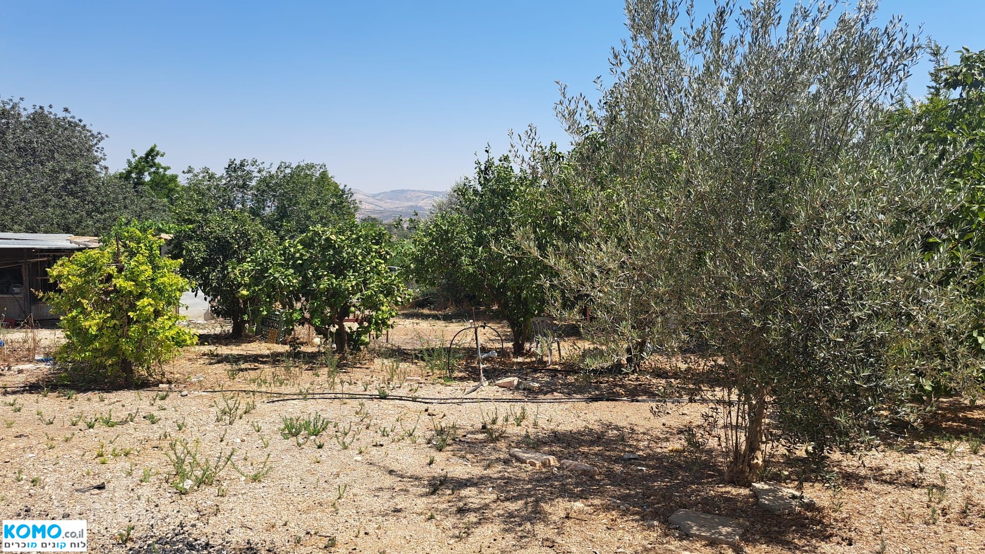 תמונה למודעה