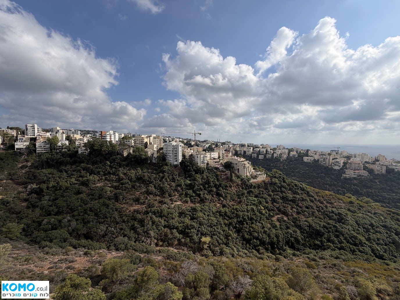 תמונה למודעה