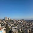 תמונה ראשית