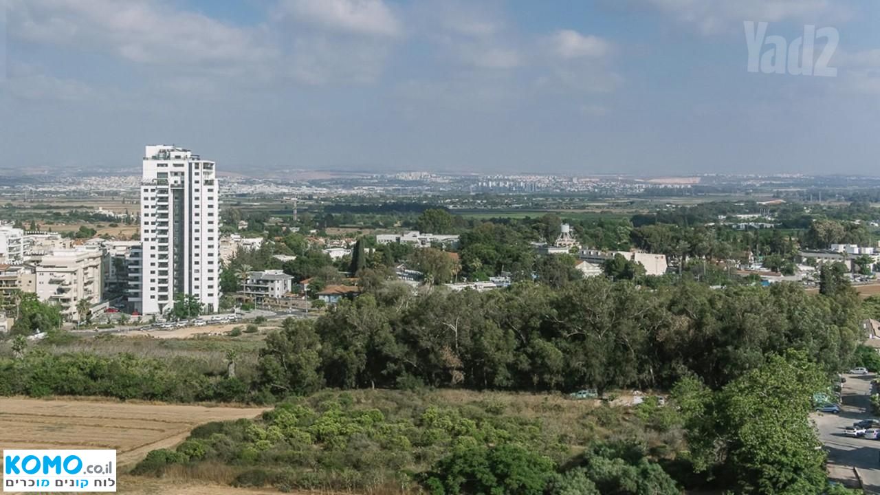 תמונה למודעה