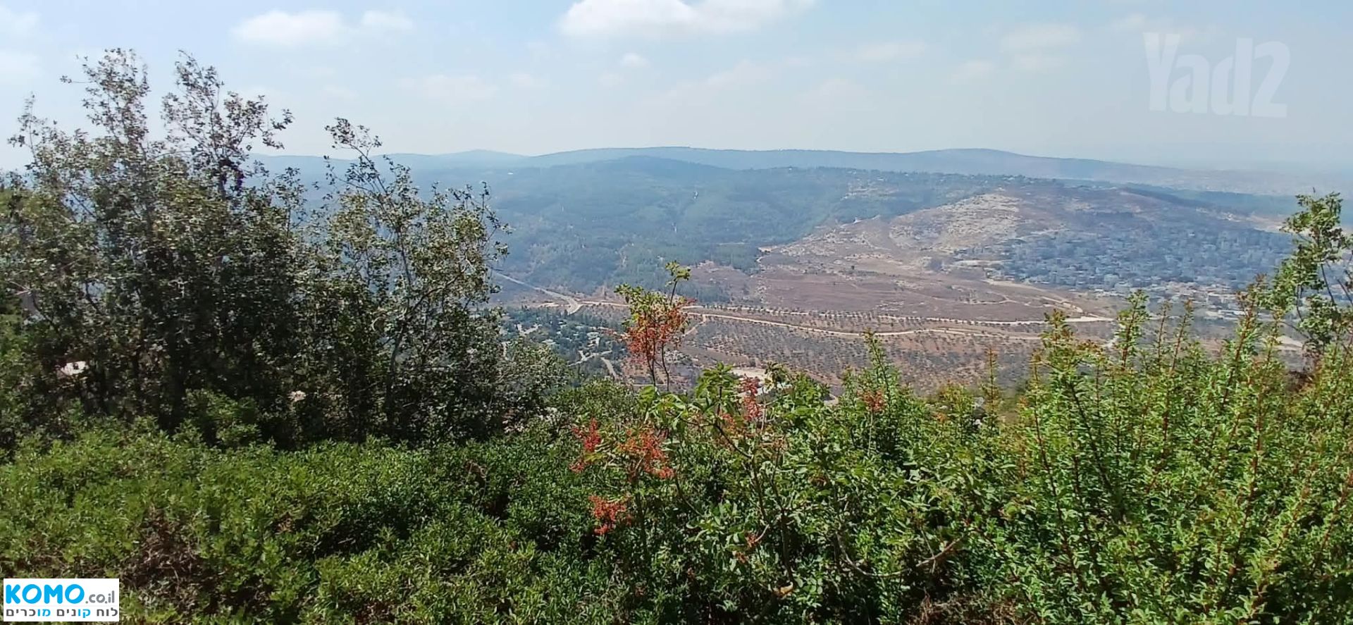 תמונה למודעה