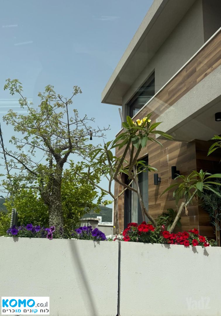 תמונה למודעה