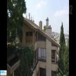 תמונה ראשית