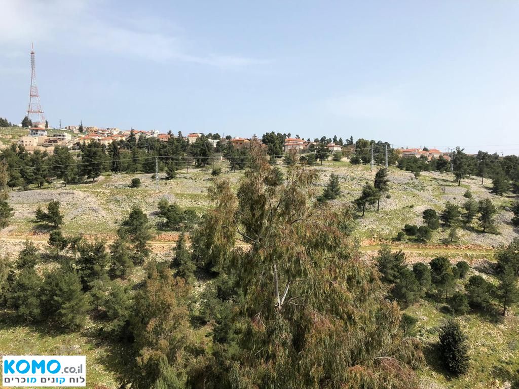 תמונה למודעה