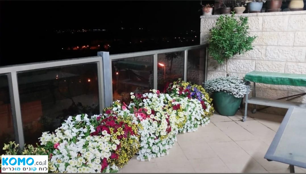 תמונה למודעה