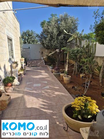 תמונה למודעה