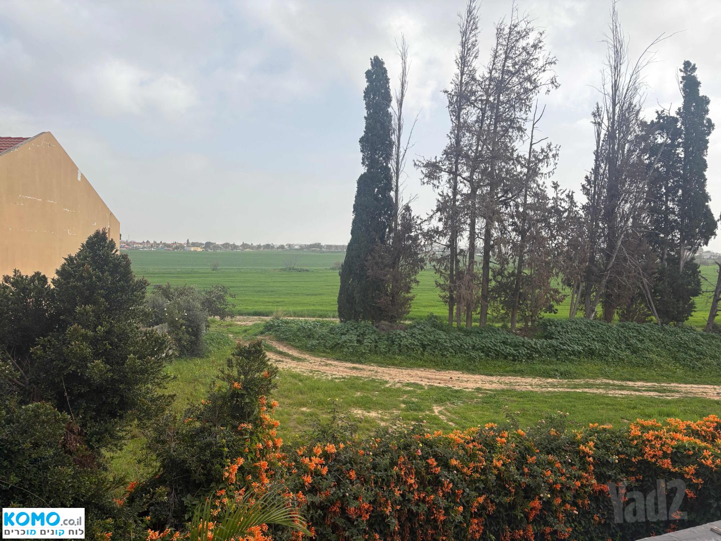 תמונה למודעה