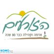 תמונה ראשית