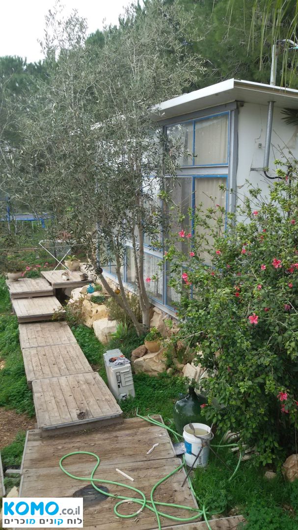 תמונה למודעה