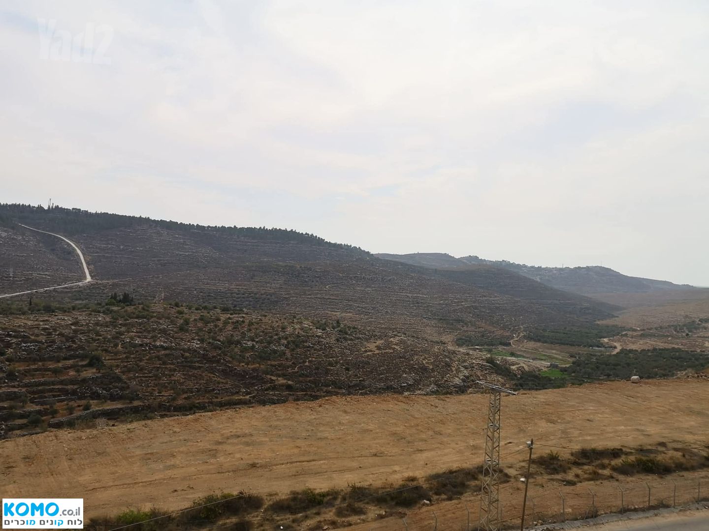 תמונה למודעה