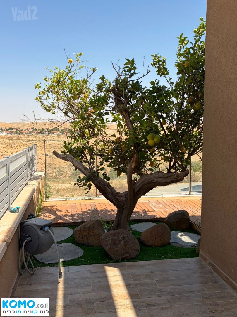 תמונה למודעה