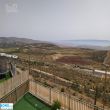 תמונה ראשית