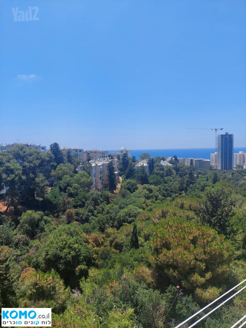 תמונה למודעה