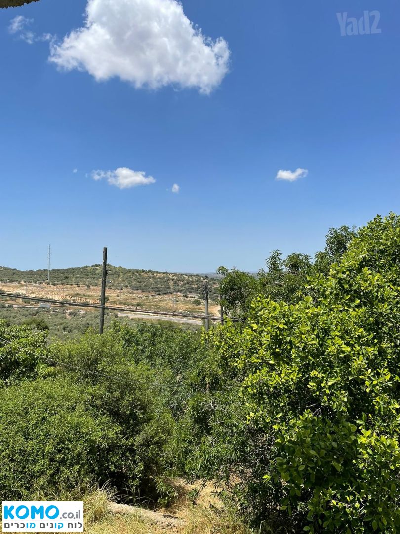 תמונה למודעה