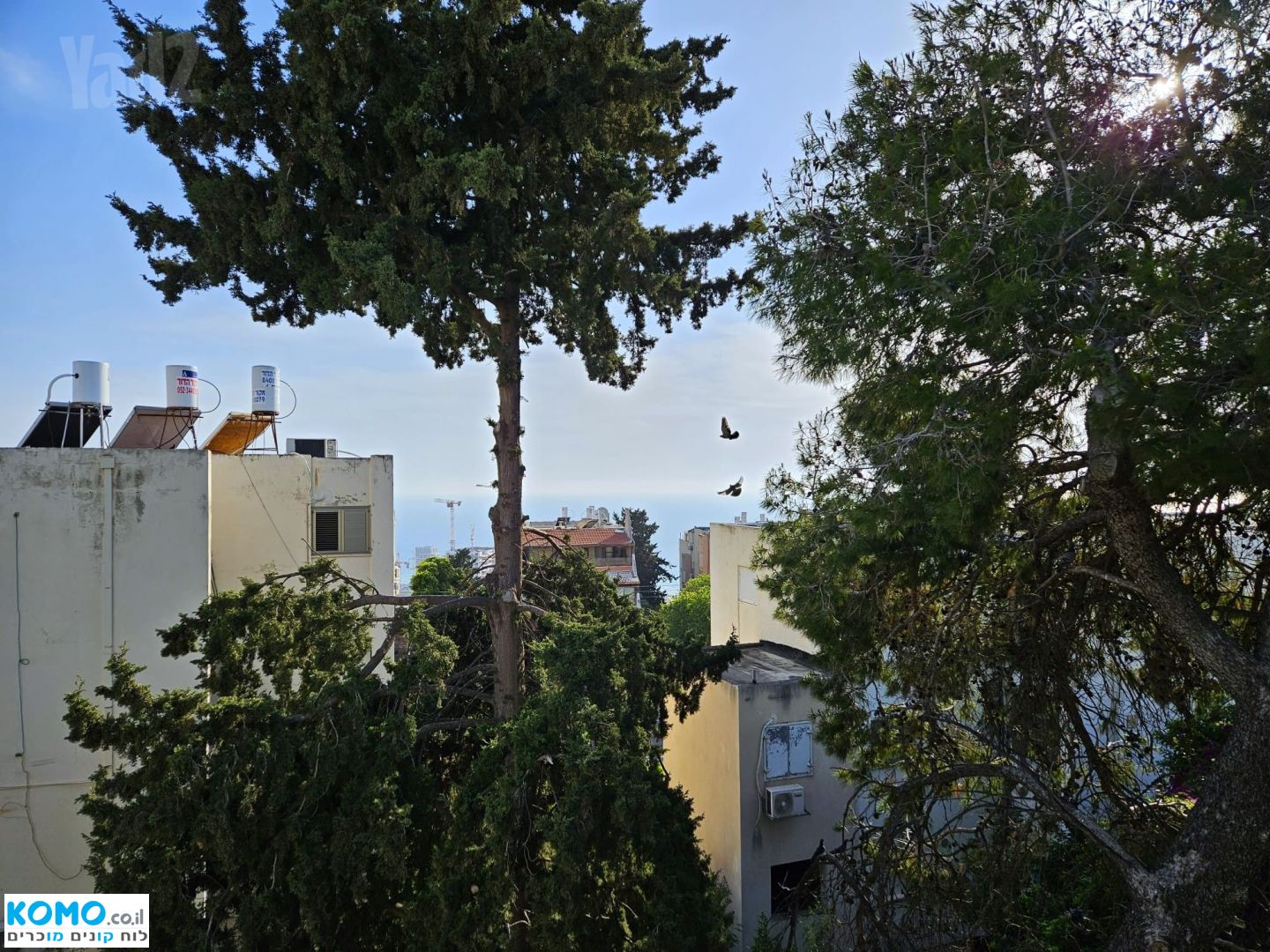 תמונה למודעה