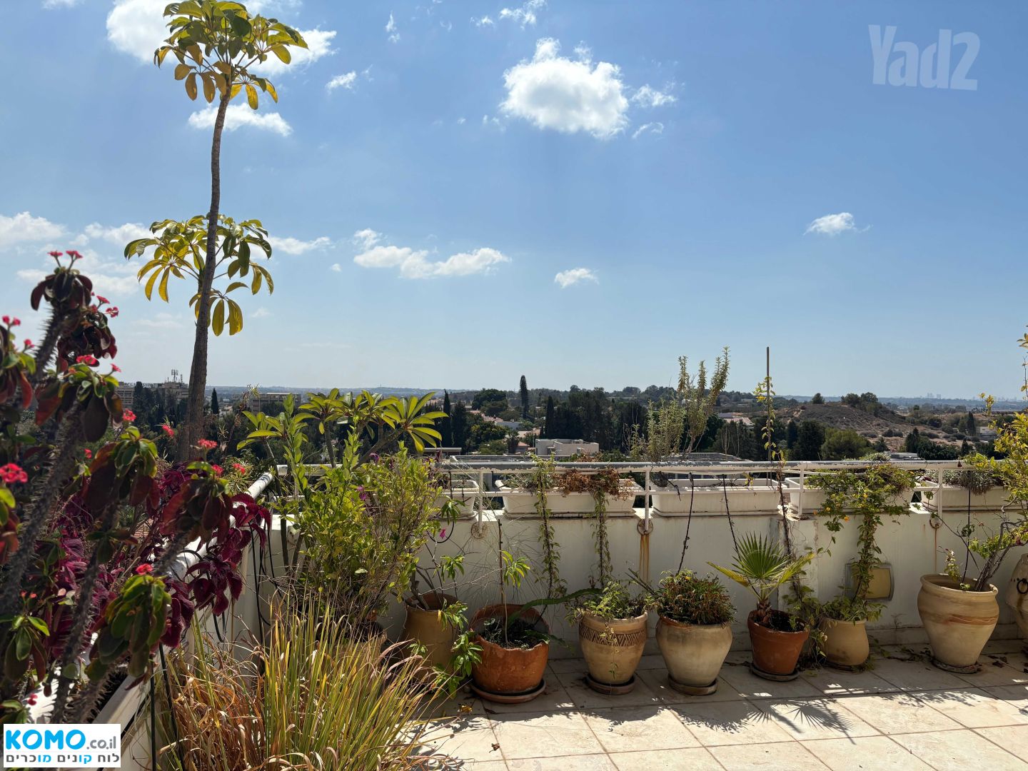 תמונה למודעה