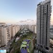 תמונה ראשית