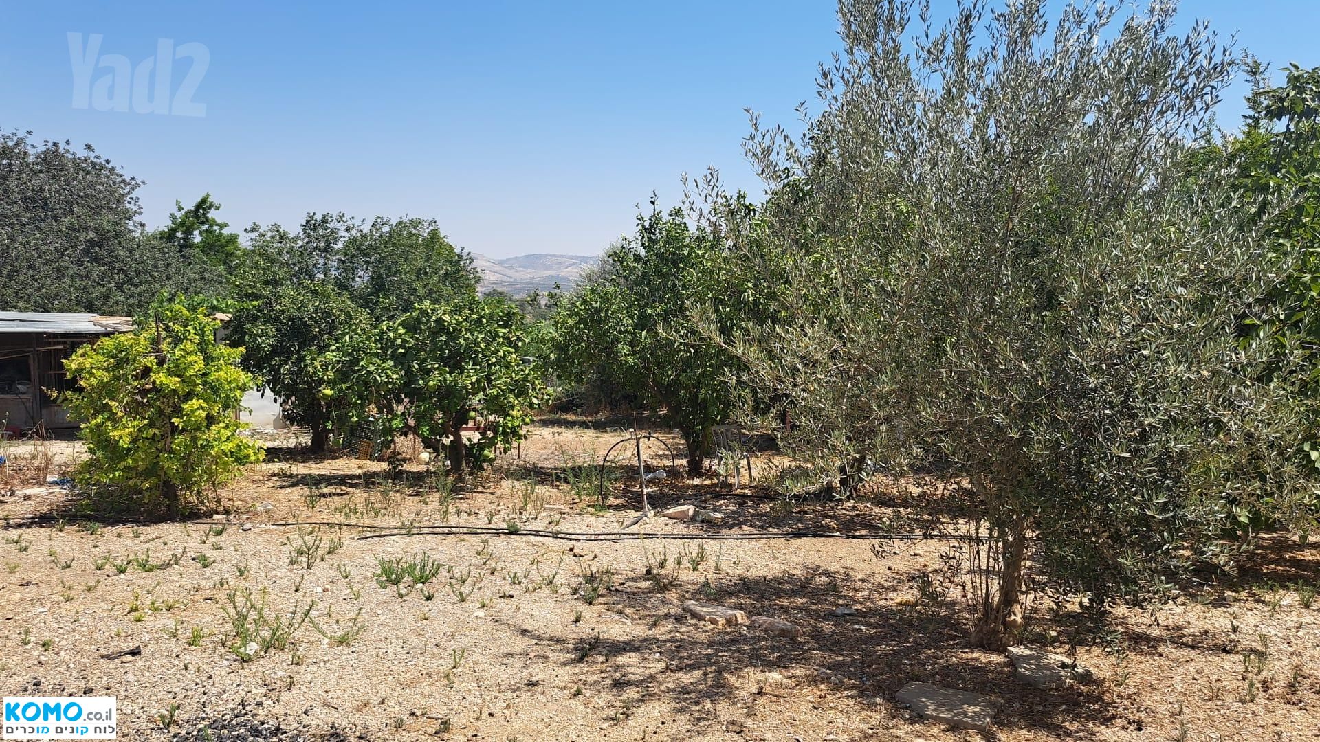 תמונה למודעה