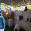 תמונה ראשית
