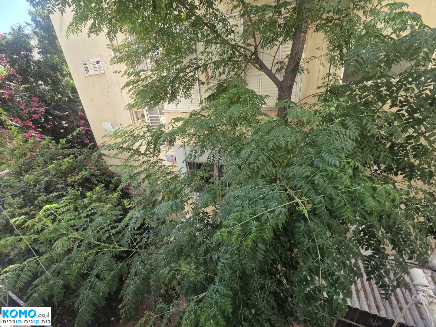 תמונה למודעה