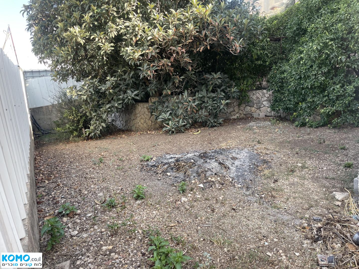 תמונה למודעה
