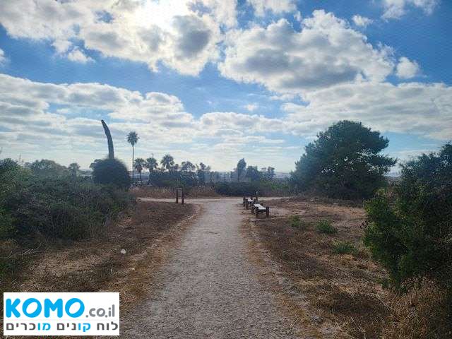 תמונה למודעה