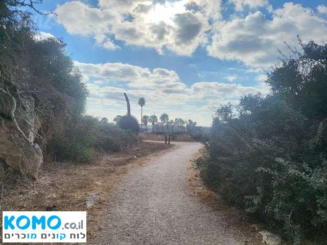 תמונה למודעה