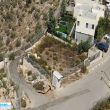 תמונה ראשית