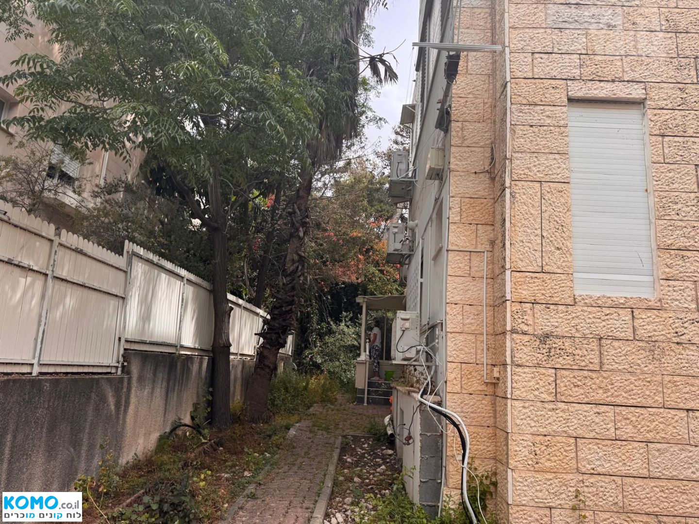 תמונה למודעה