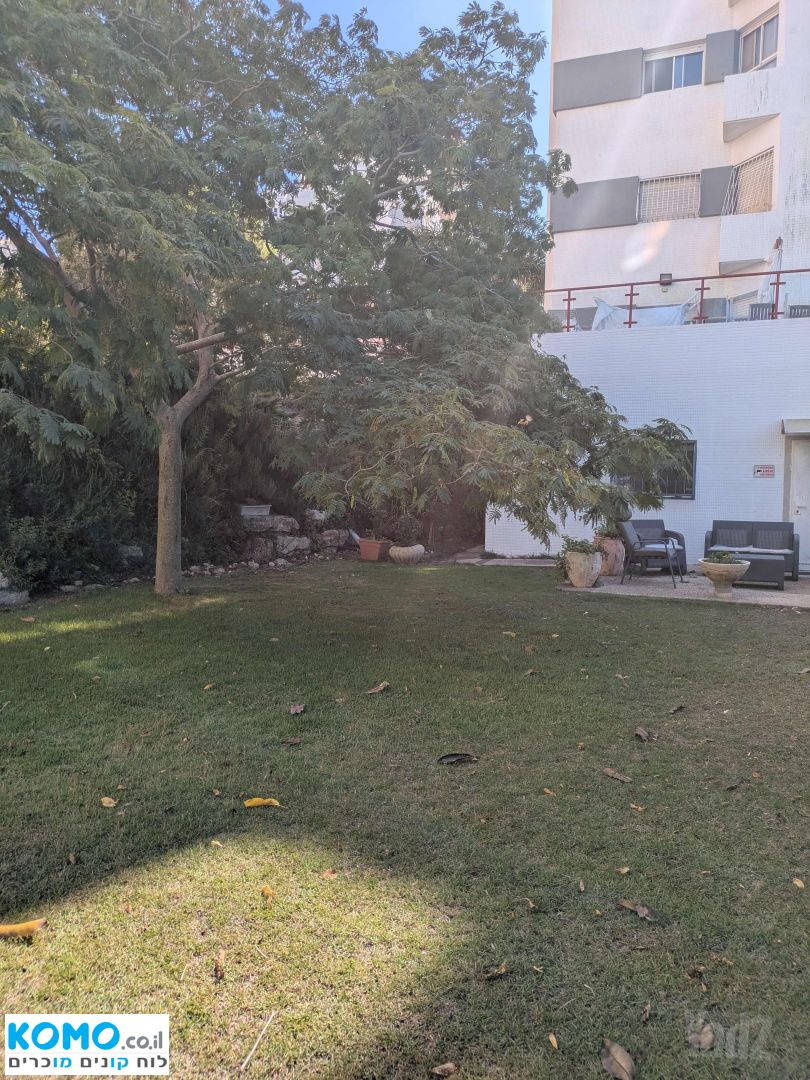 תמונה למודעה