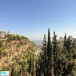 תמונה ראשית