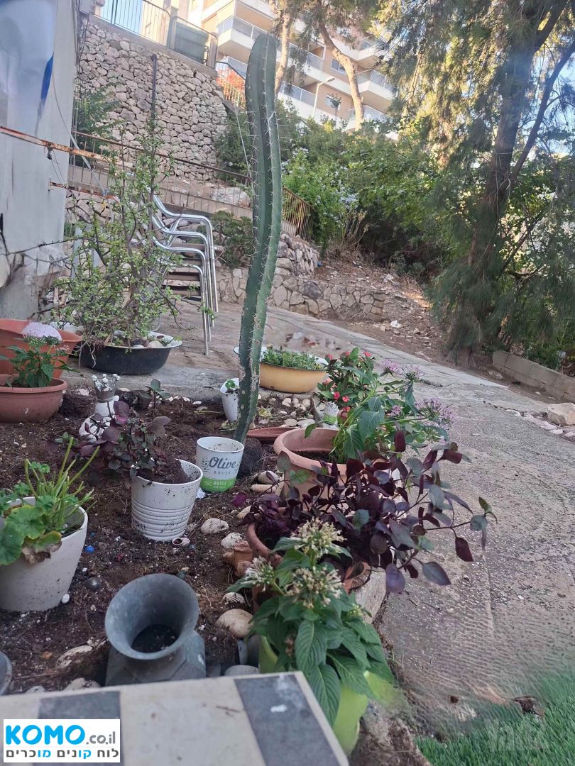 תמונה למודעה