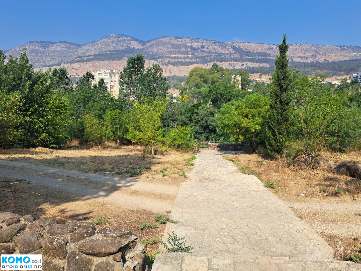 תמונה למודעה