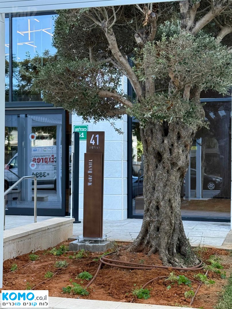 תמונה למודעה