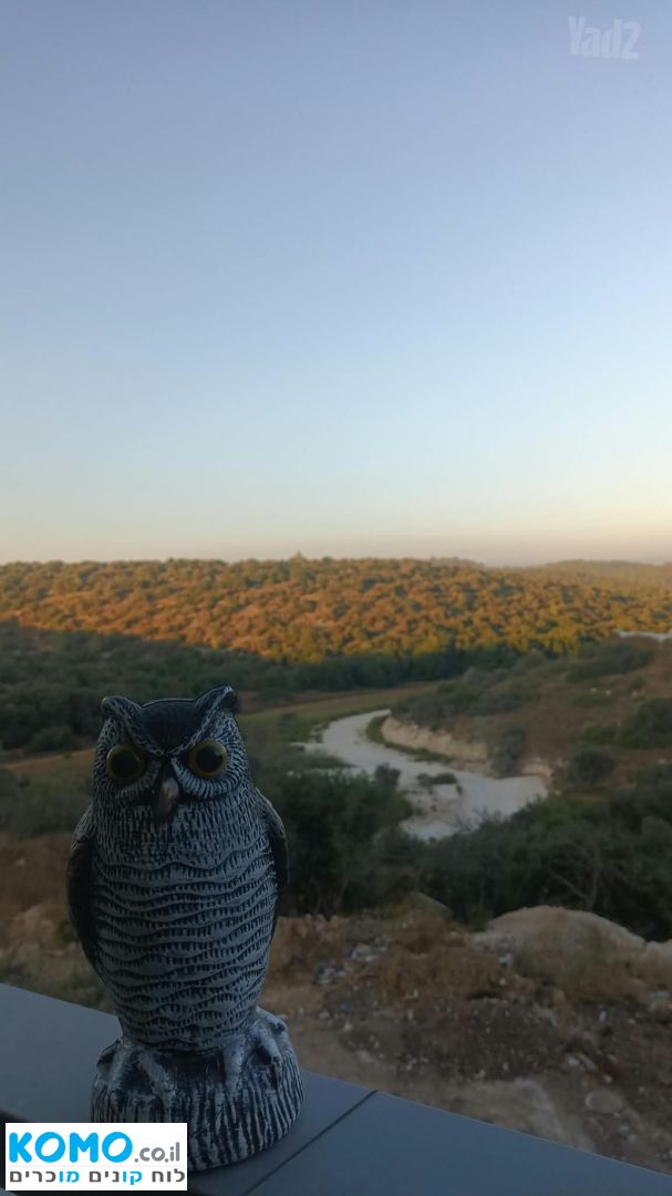 תמונה למודעה