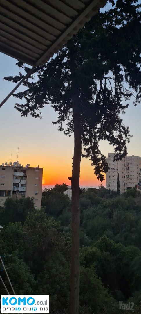 תמונה למודעה